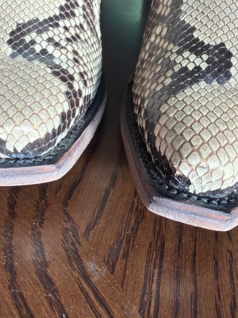 Tecovas Daisy Black/Bone Python Bootie - Picture 4 of 7